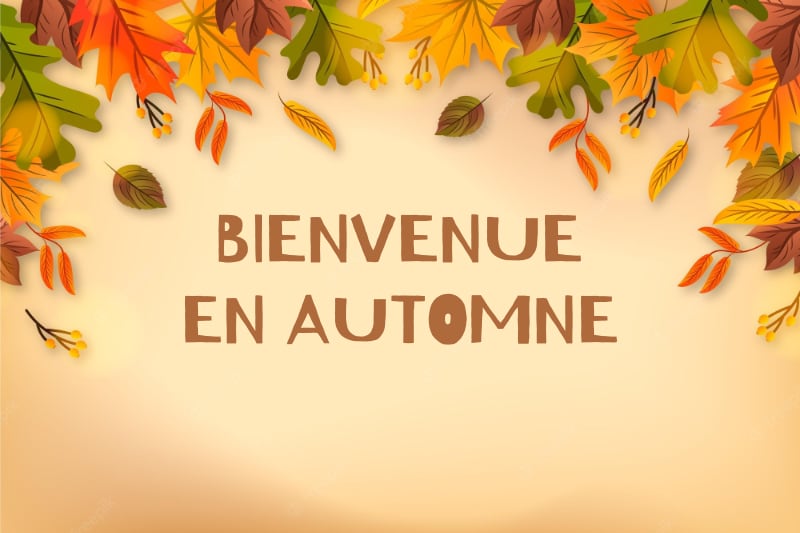 Bienvenue en automne - Divinea